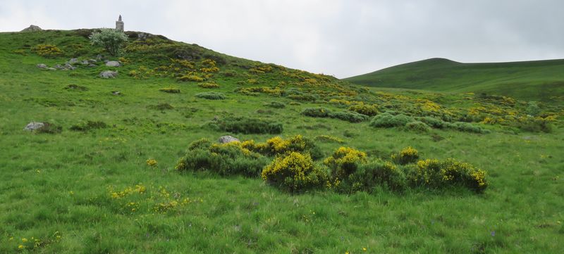 Courland 4 