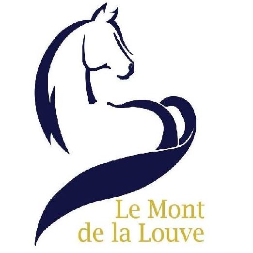 Centre équestre Le Mont de la Louve 240 Impasse de la Louve 62250 Bazinghen  