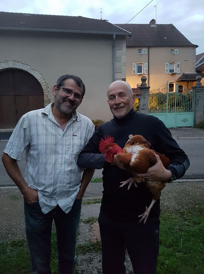 coco, notre coq