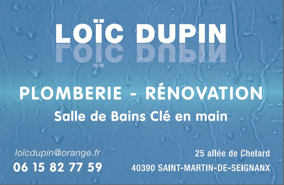 Carte de visites loic dupin