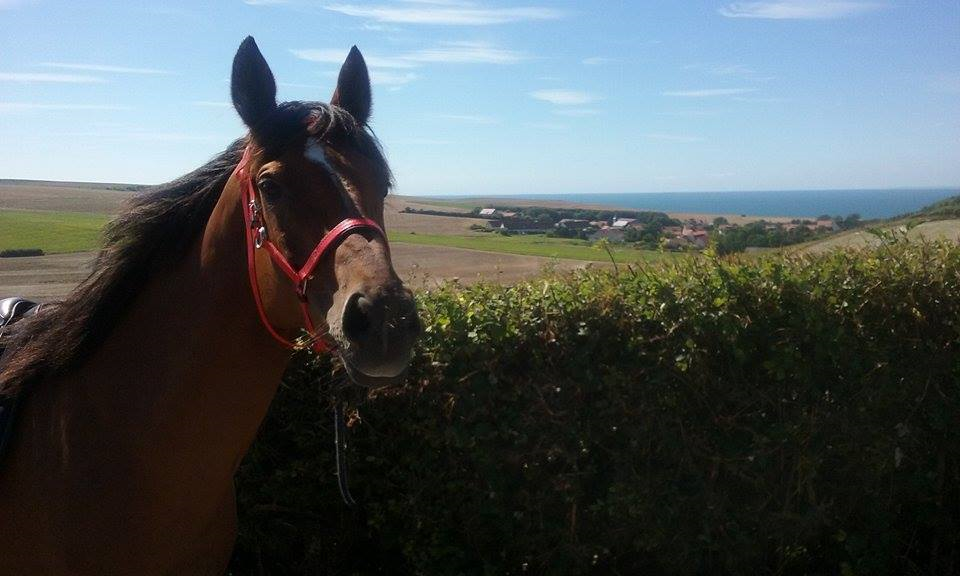 Baladecheval