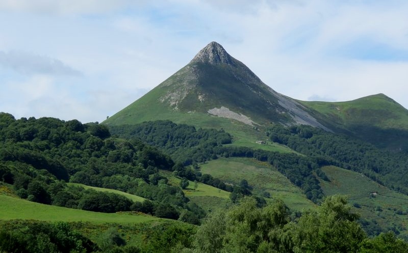 Griou 4 