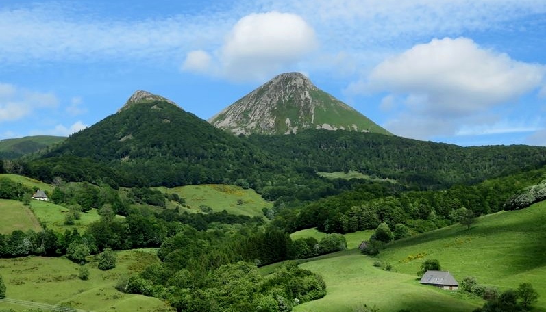 Griou 6 