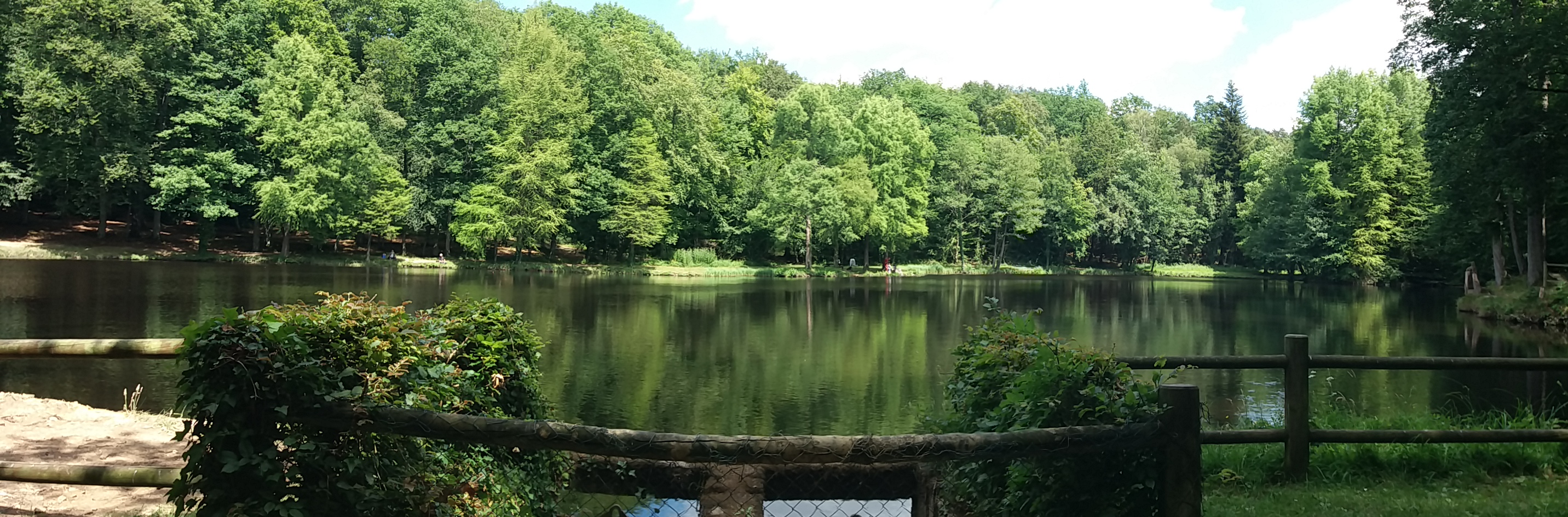 Foret de belleme