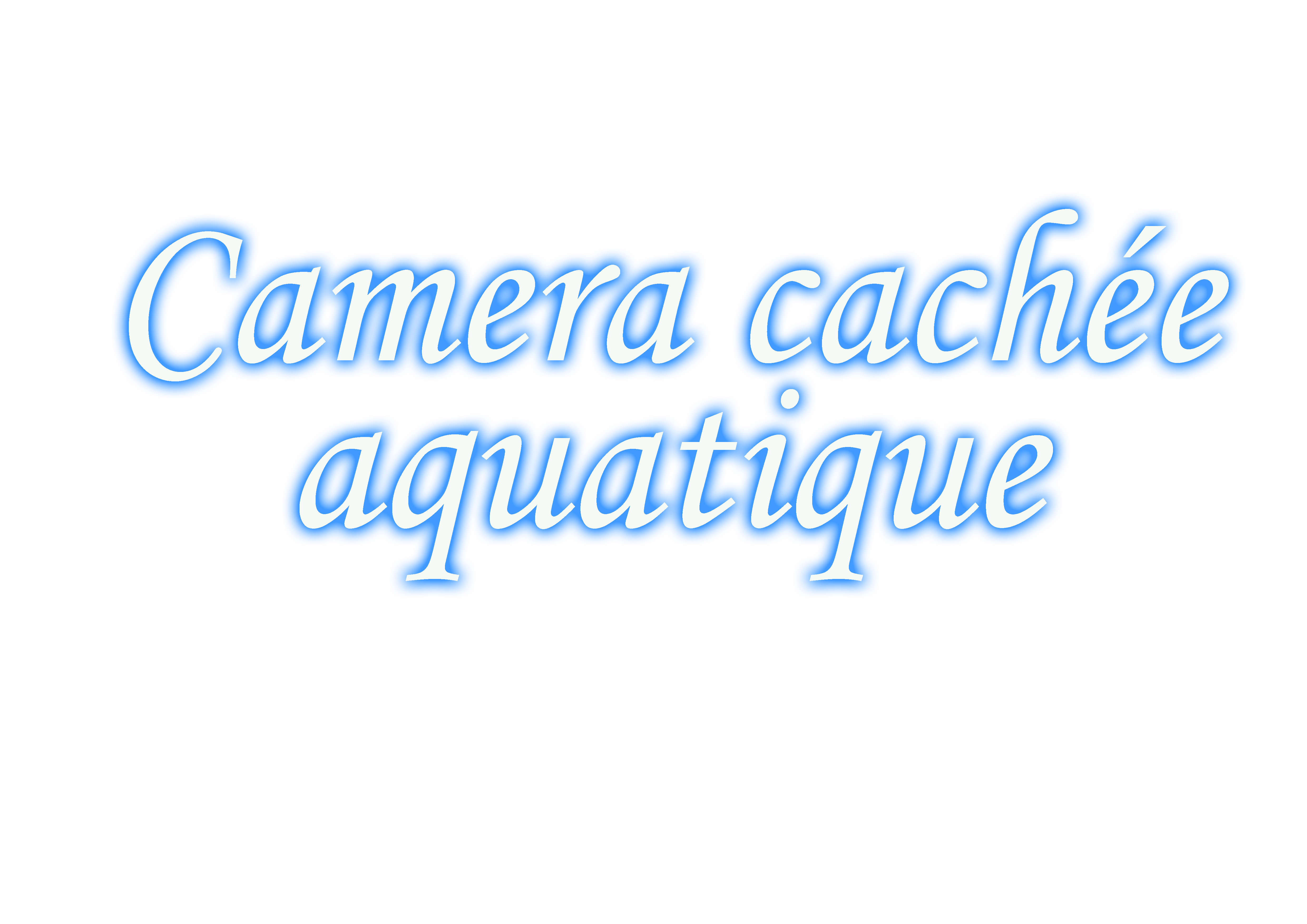 Fond d ecran aquat