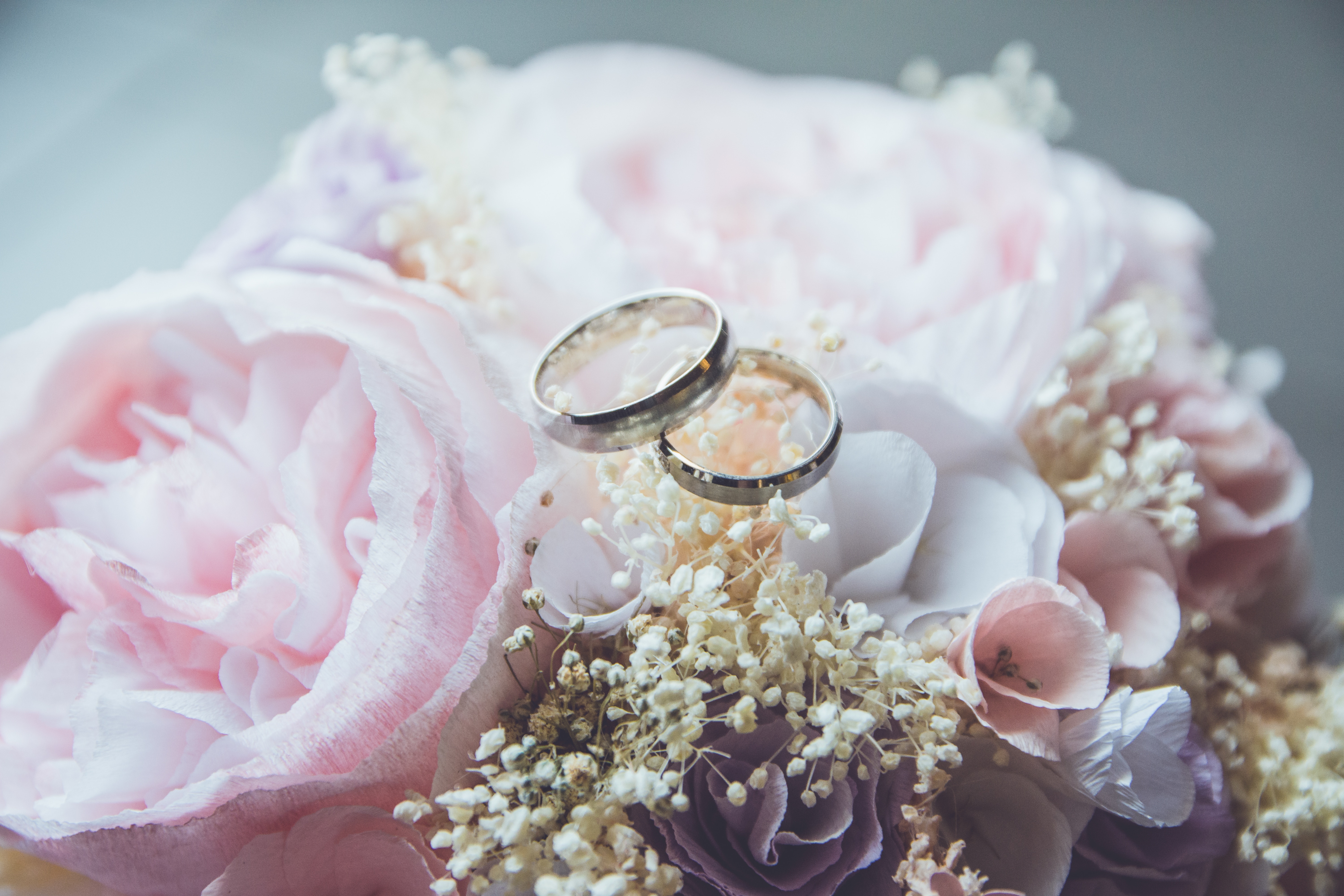 Beatriz perez moya 513499 unsplash