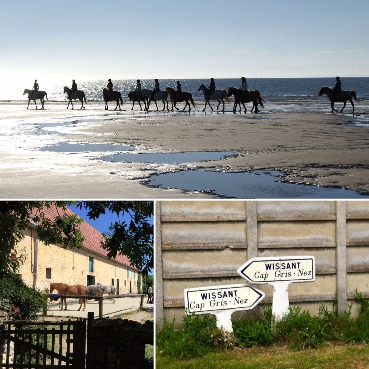 Le Mont de la Louve , Balades à cheval sur la plage de Wissant, cours d'équitation proche Wissant