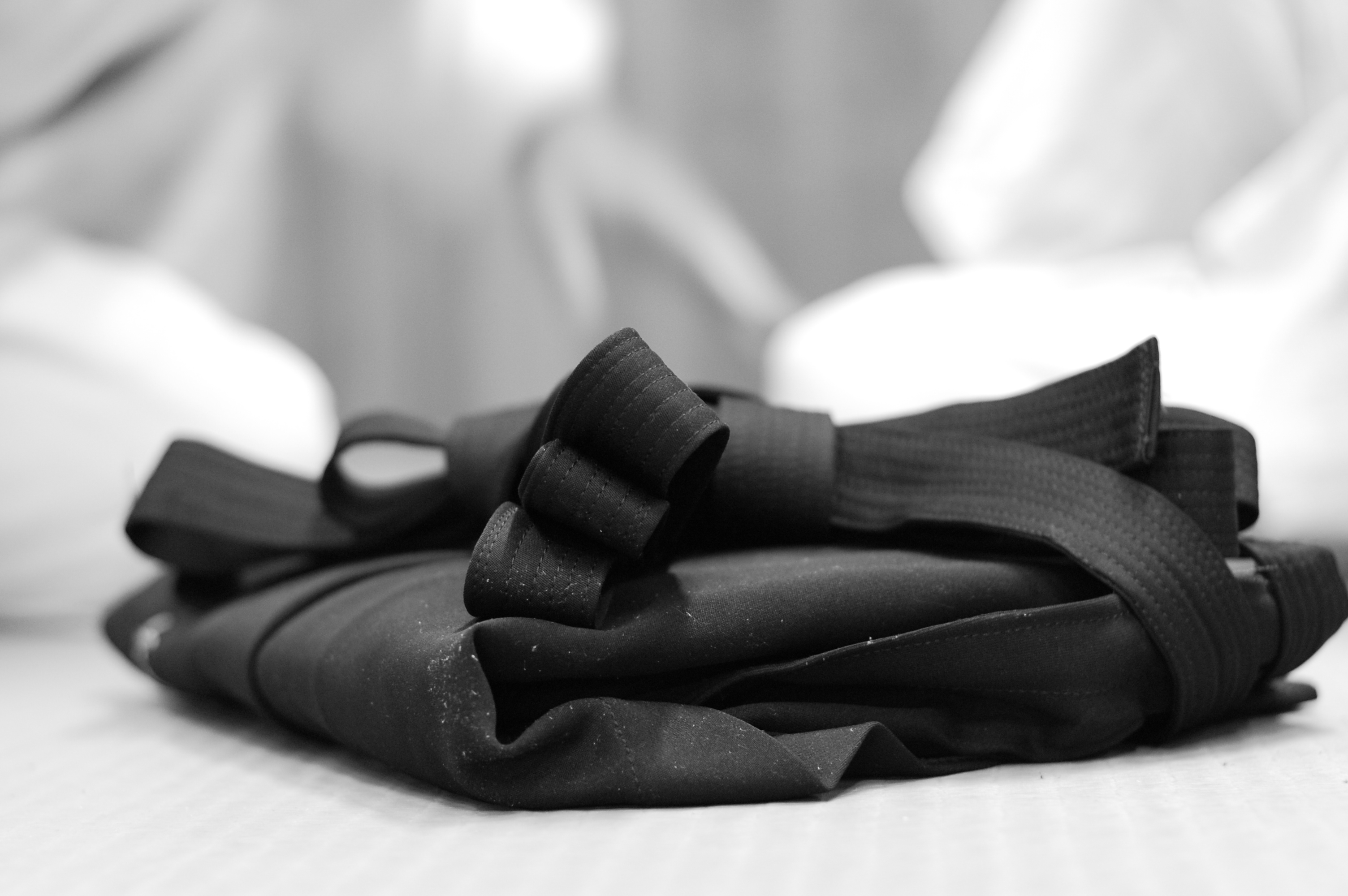 Aikido Nantes SAN Regis Moreau hakama