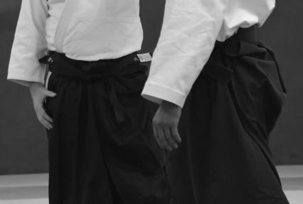 Aikido Nantes SAN regis Moreau Hakama 1