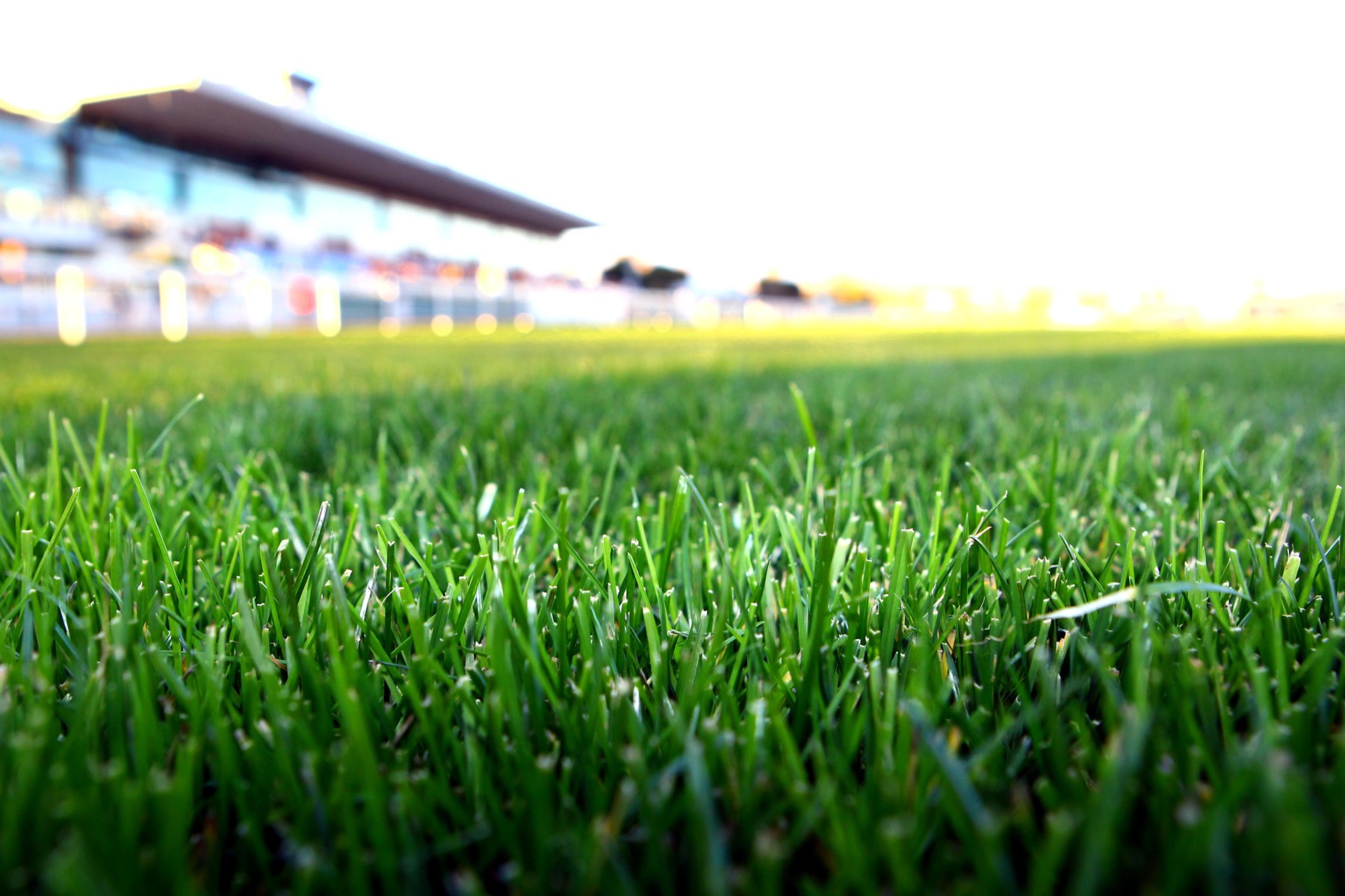 Hippodrome