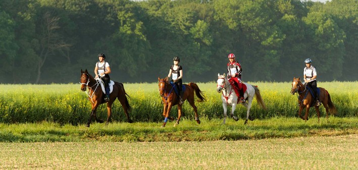 Endurance