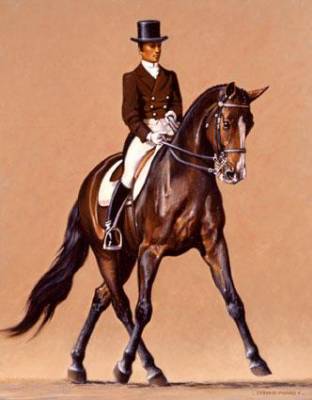 Dressage 3