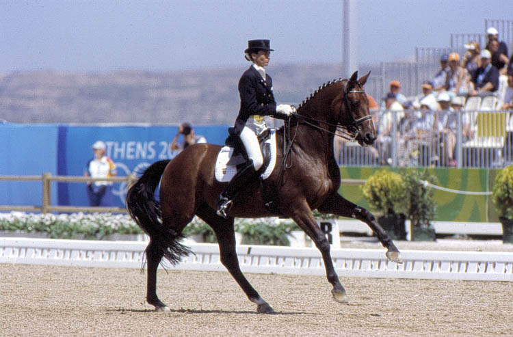 Dressage2