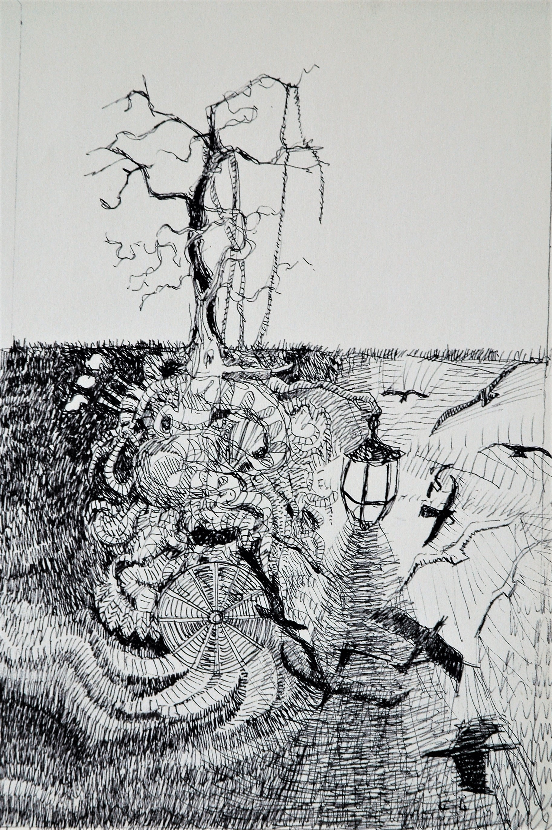 Dsc 0062