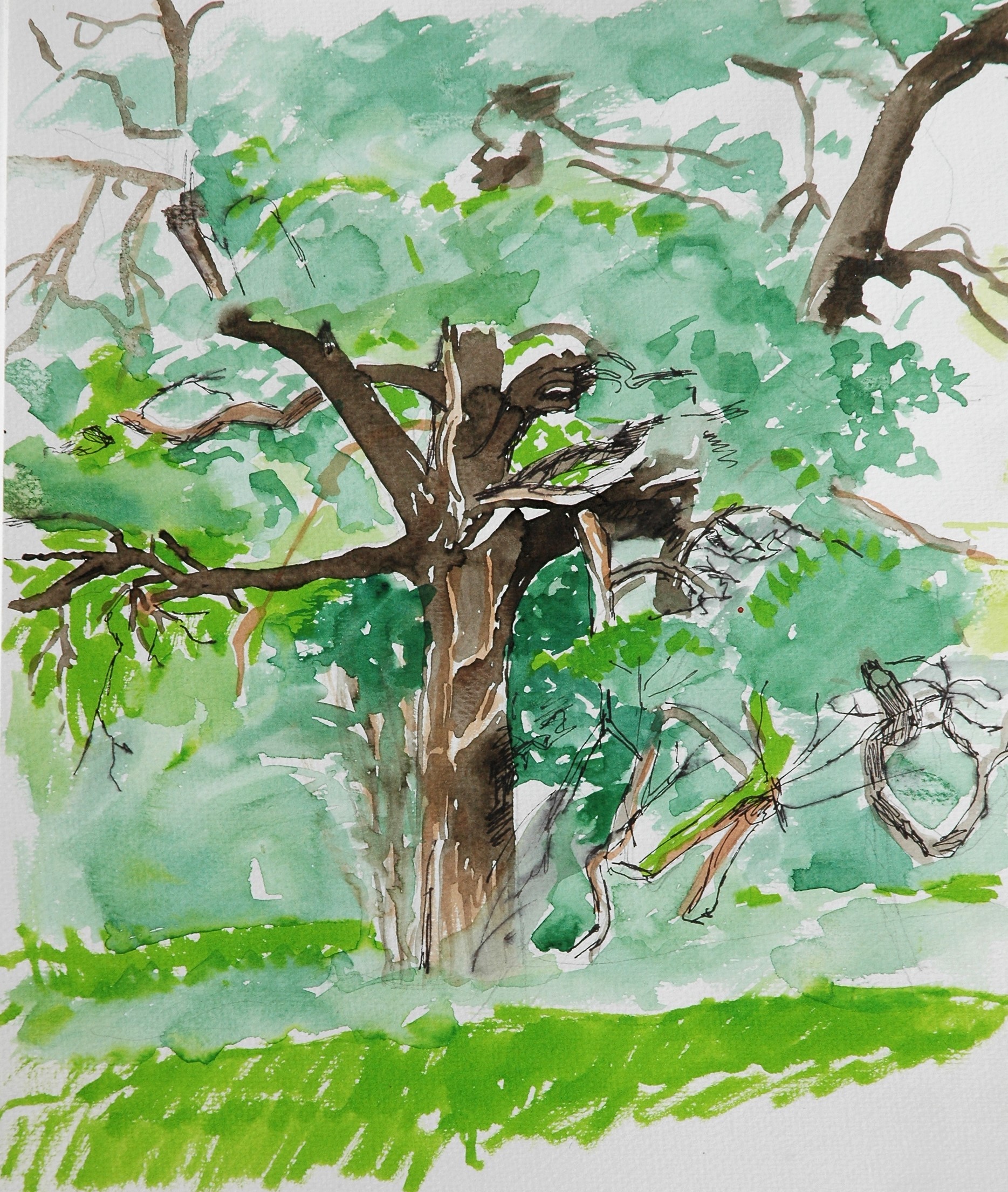 Dsc 0117
