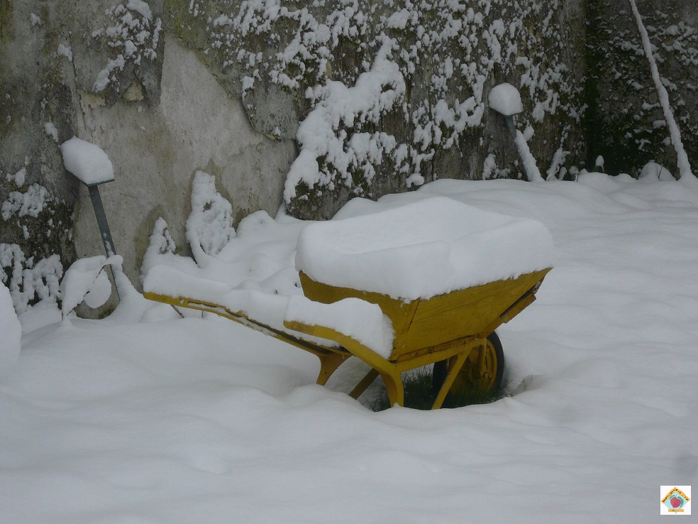 le clos à pêches sous la neige en février 2018