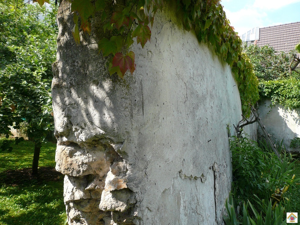 les murs à pêches de BAGNOLET