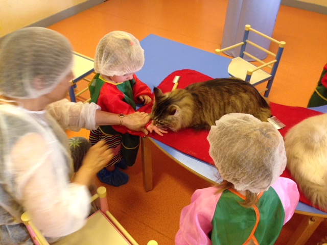 Le chat en programme de médiation animale en crèche AZCO