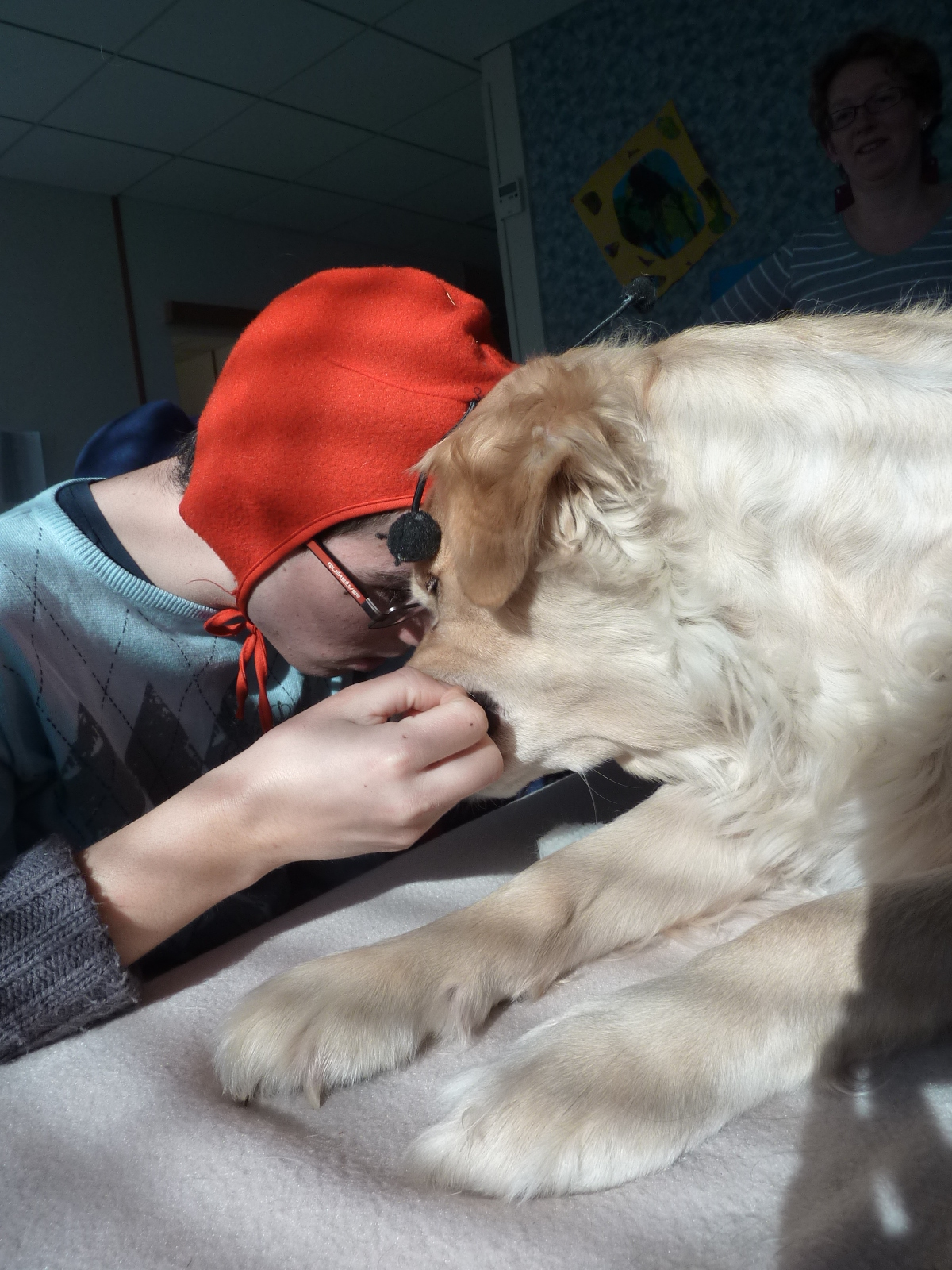 Le chien comme partenaire relationnel en médiation animale