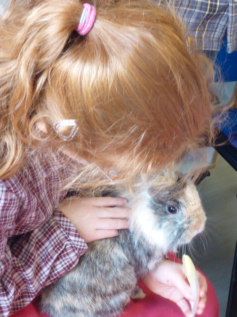 Relation douce entre une enfant et un lapin en médiation animale