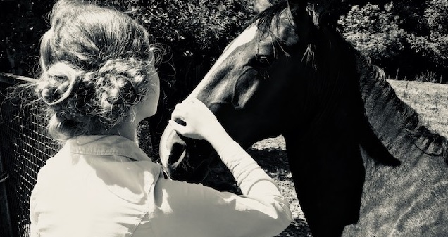 Relation de confiance entre la personne et le cheval en médiation animale