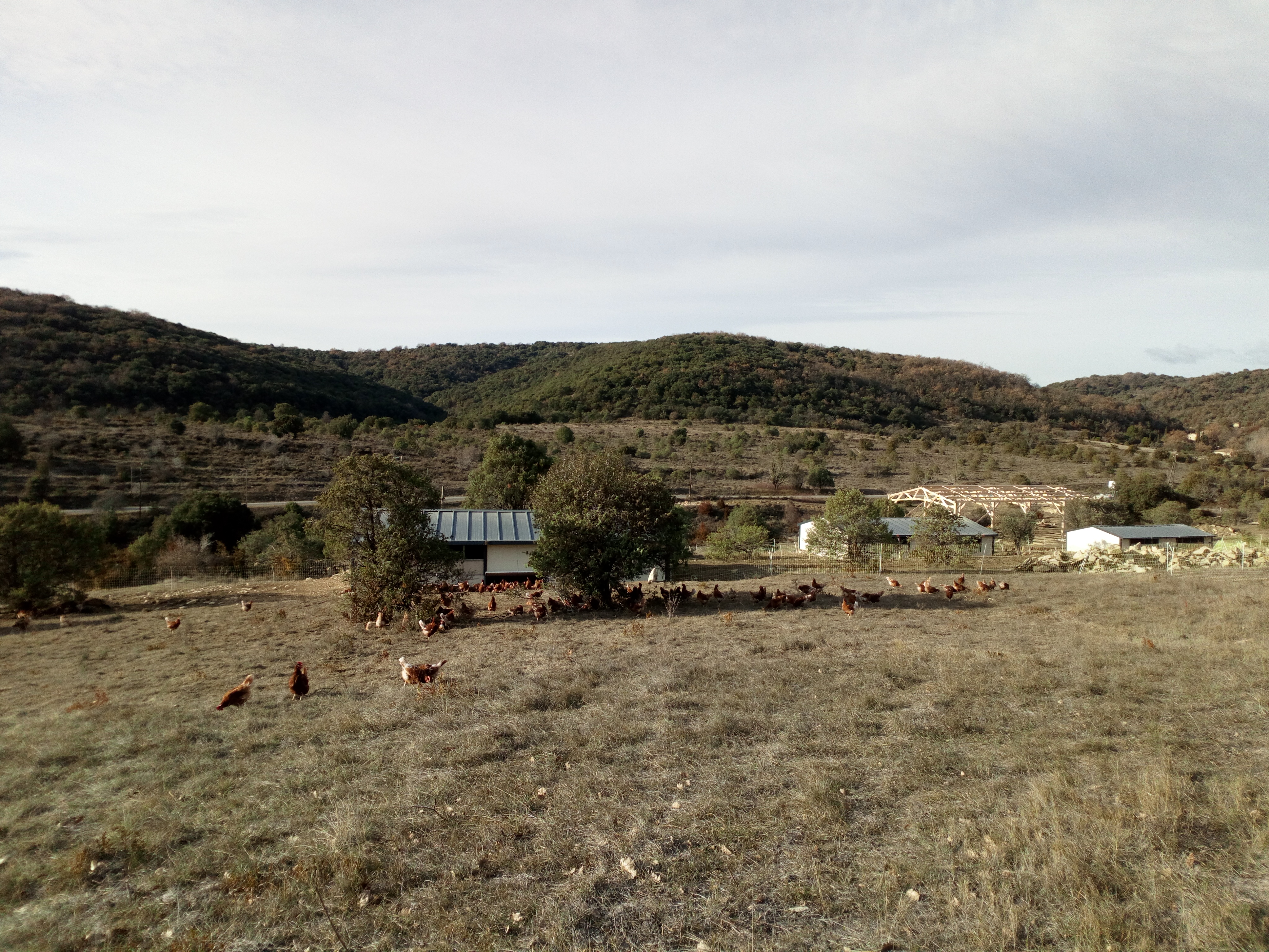 Vue de la colline