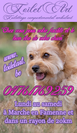 Carte visite
