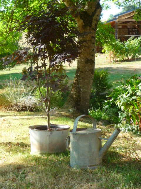 P1070096