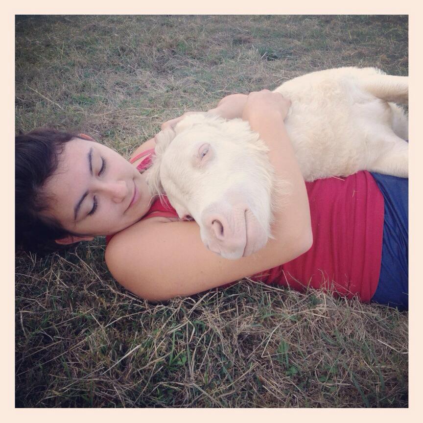 edapas, mediation animale, apa, amha