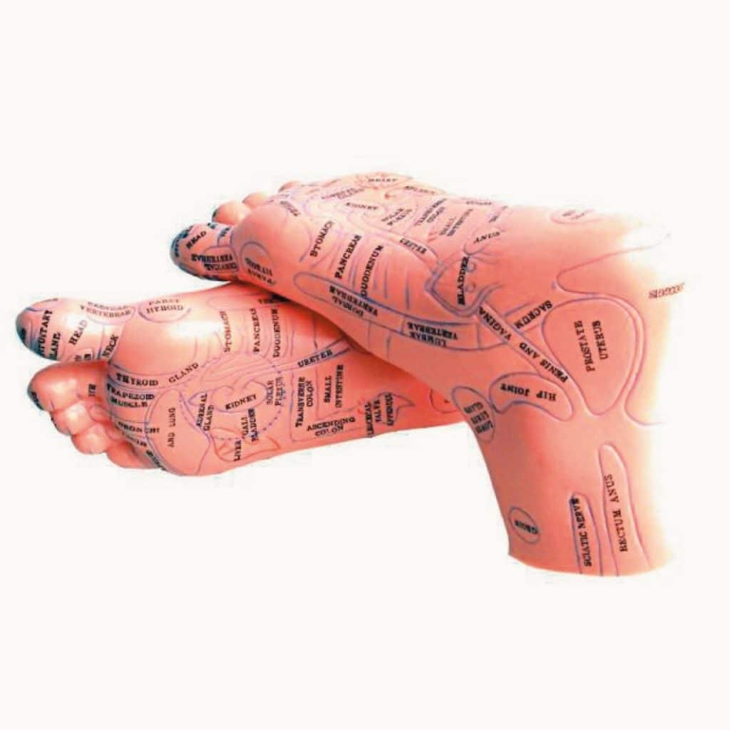 Reflexologie