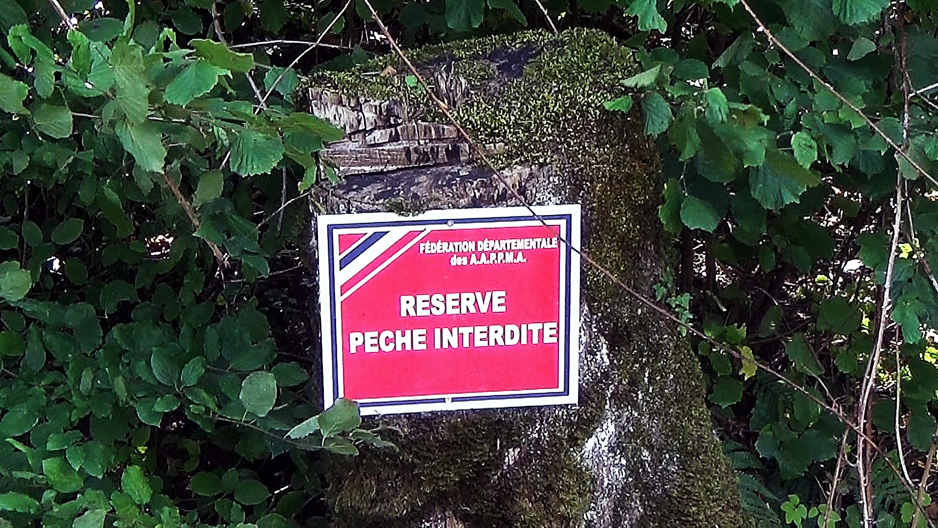 Ajhg