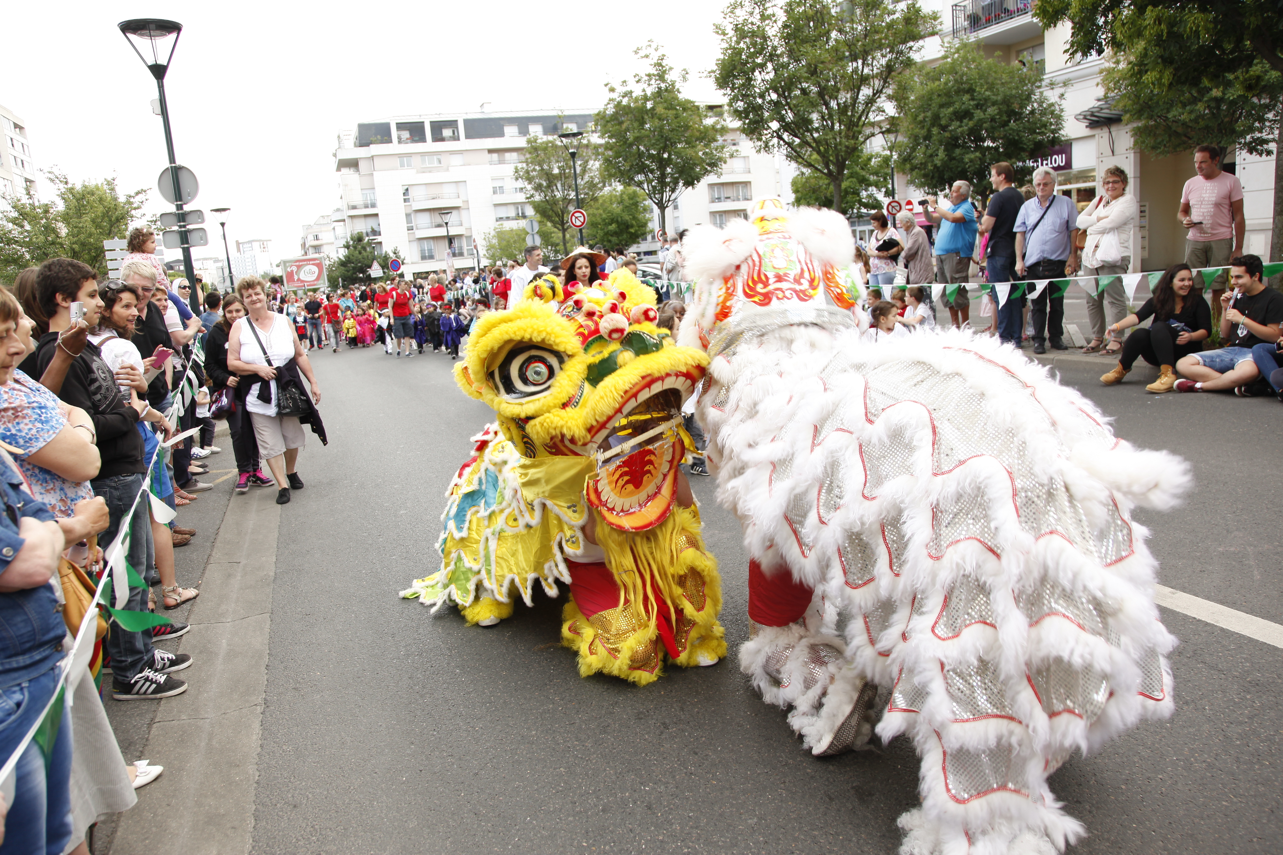 Lions parades