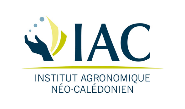 IAC new