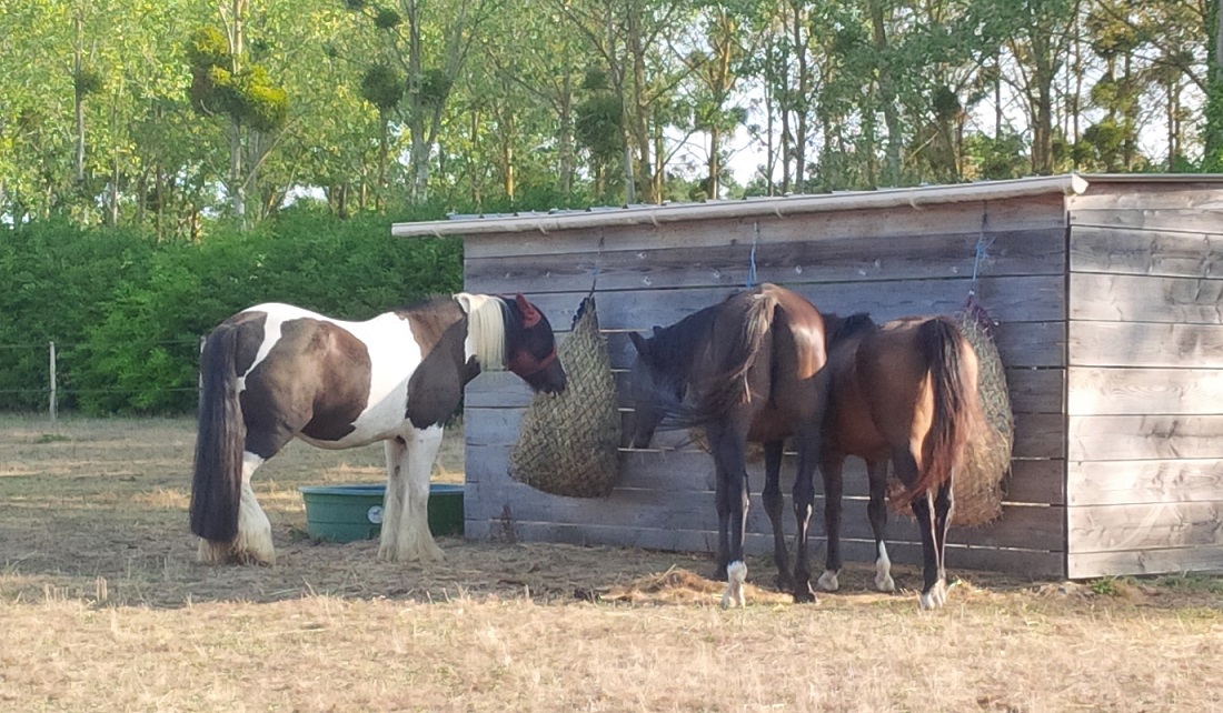 Img 20180909 100241 2r