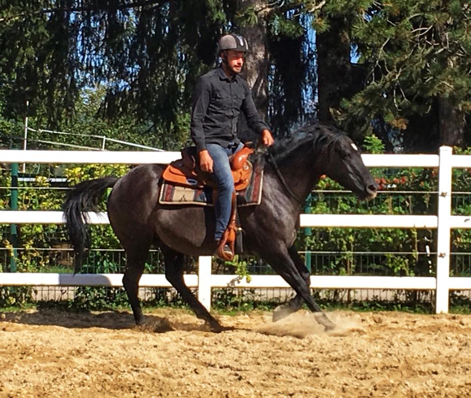 "Daytona Jaz Monkey" "Quarter-Horse" "Fondation" 96% foundation "Aqha" "Ranch-horse" "cowhorse" "grullo" "EXCA" origines "Jaz mighty Mouse" "Little-steel-dust" "poco-cherio" "poco-bueno" "robin-red" "double-drift" "doc-bar" Elevage Baldrock-Ranch en Franche -Comté