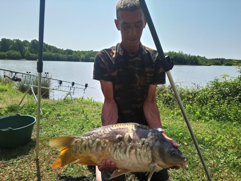 Carpe miroir
