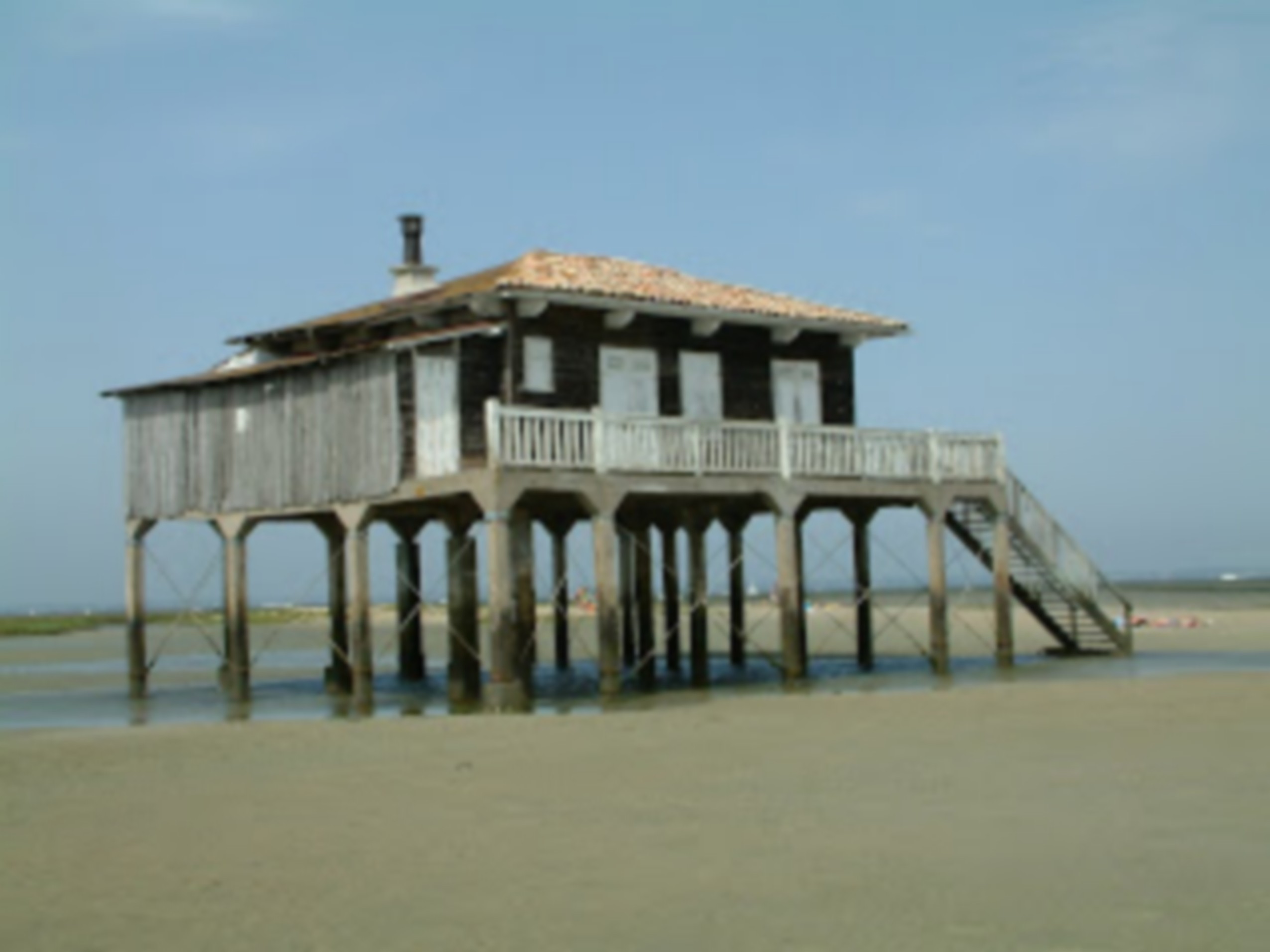 DSCF0038