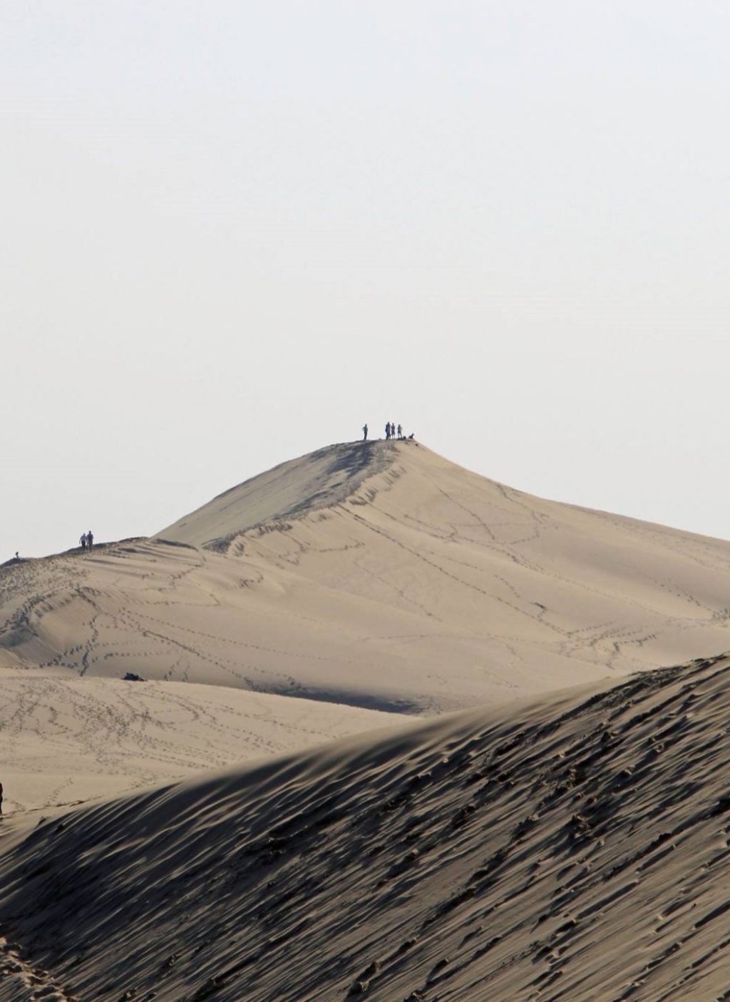 Un soir dautomne sur la dune du pilat nt0lr1mnalbqa1k9qj8otjxmq5h7oorkjpxr1q37j6