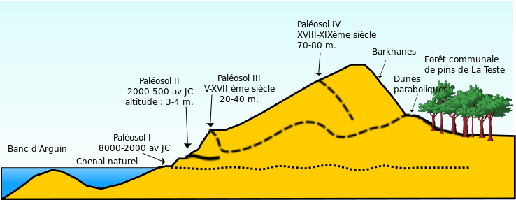 738px Schema Gran Dune Pilat fr svg