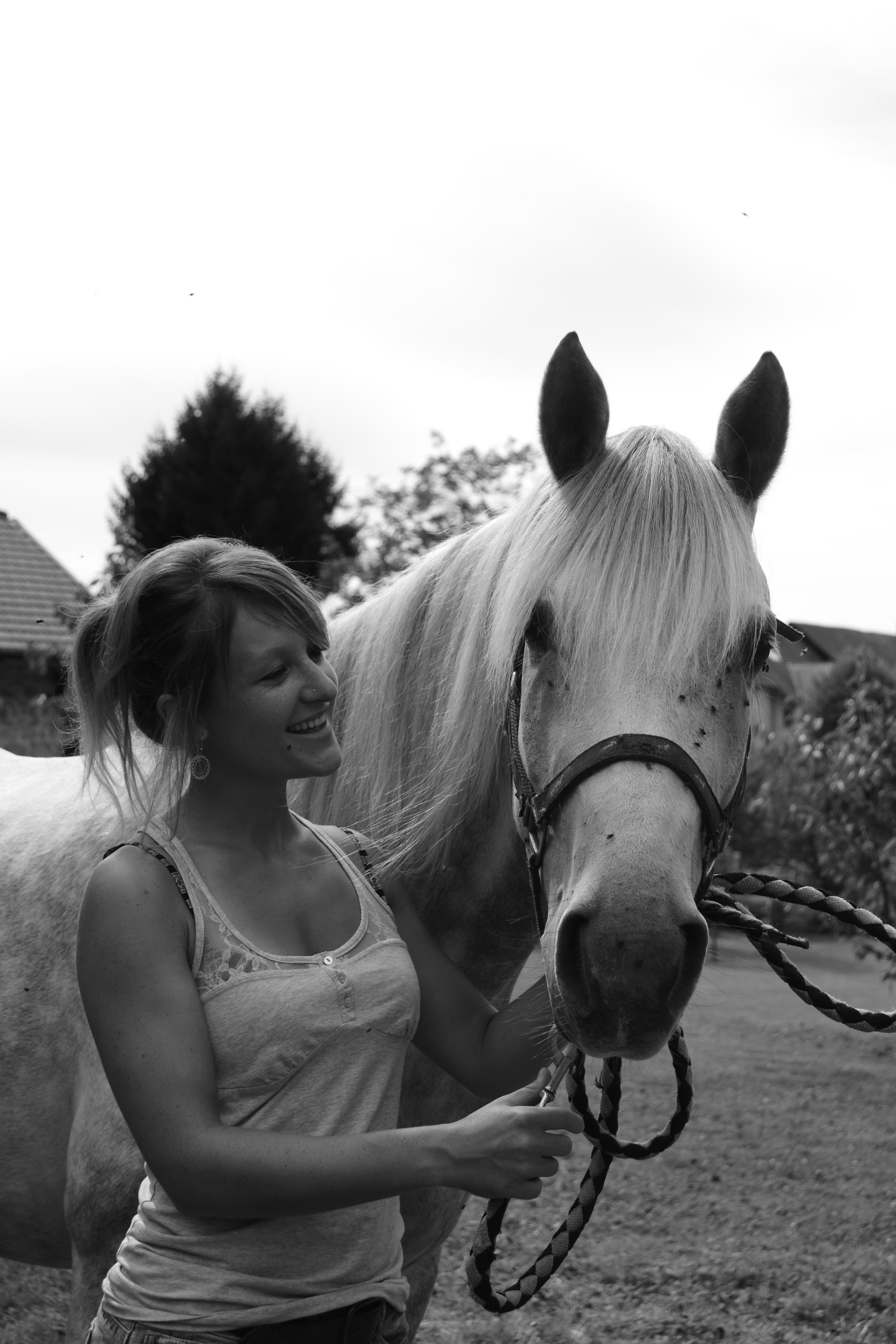 DSC 1043