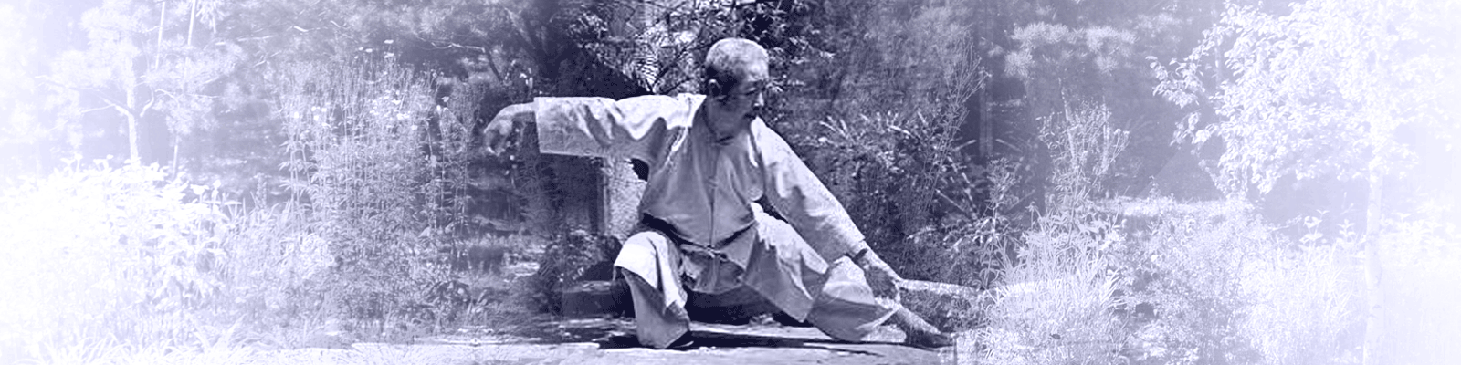 Chen Man Ching1