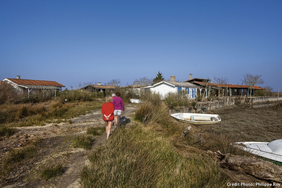 Dt177 cap ferret ile oiseau cabane pr