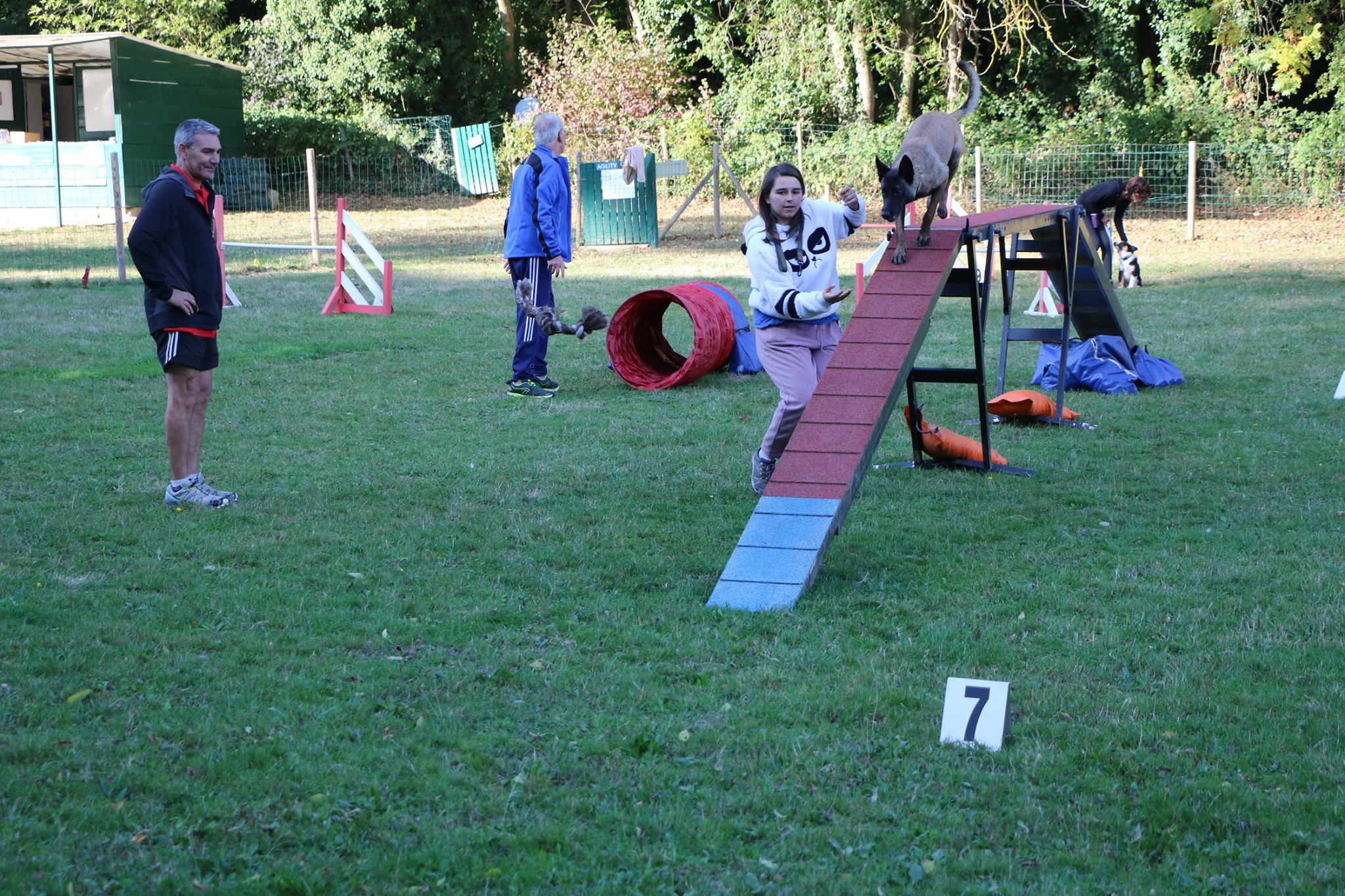 Agility 4