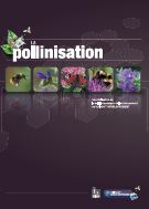 PollinistationP0