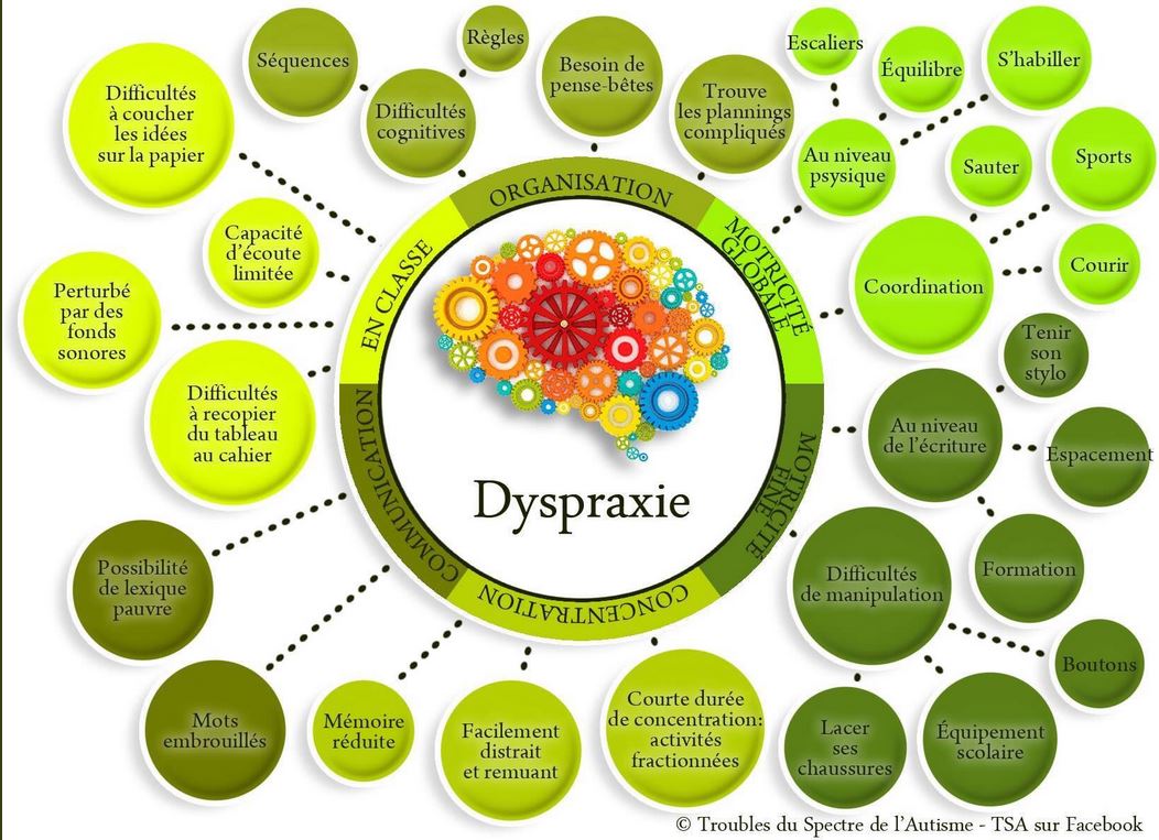 Dyspraxie