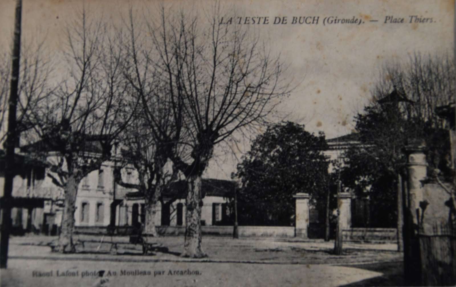 La teste collection anciennes 8 