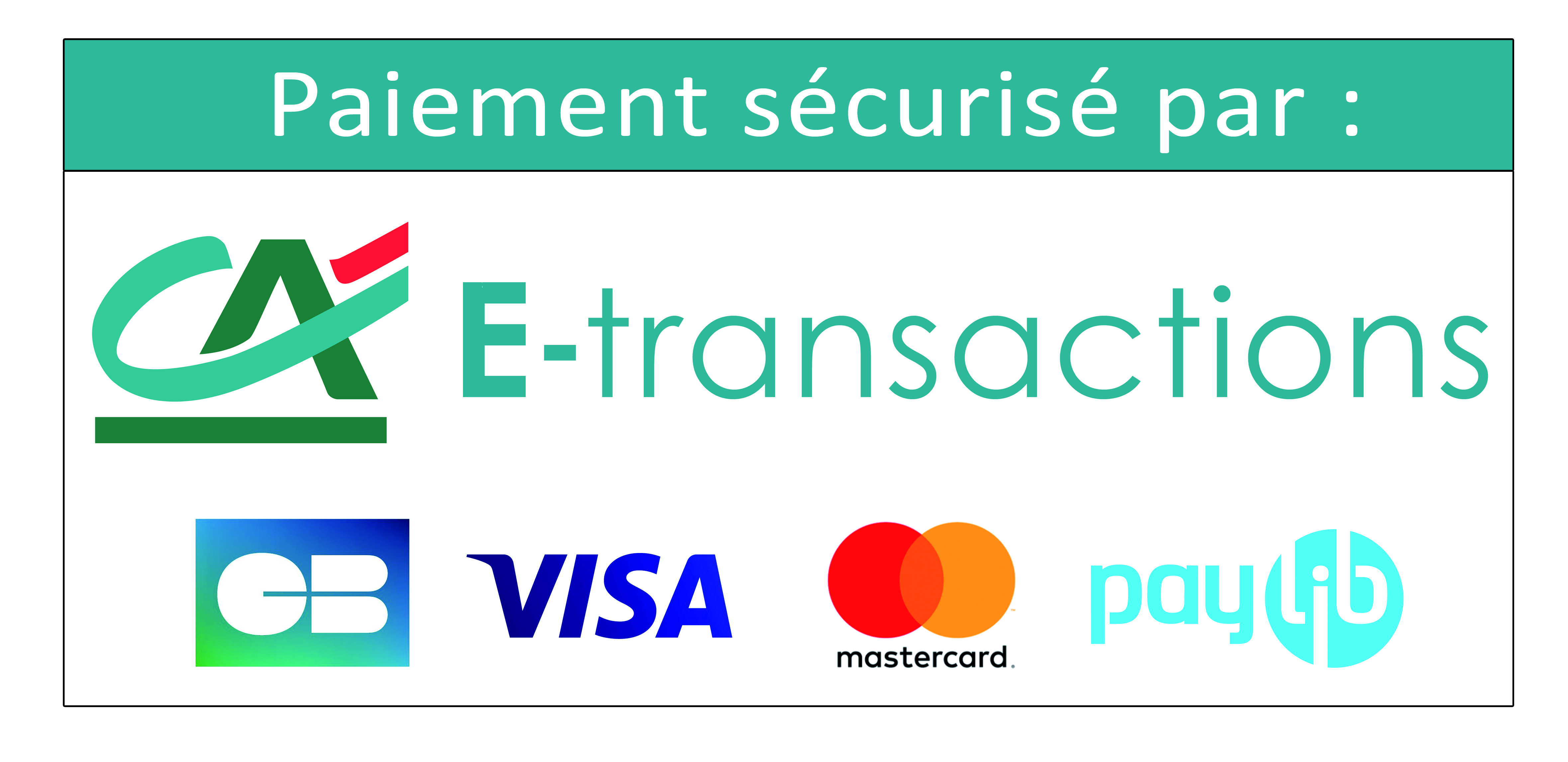 Ca e transactions cb visa mastercard