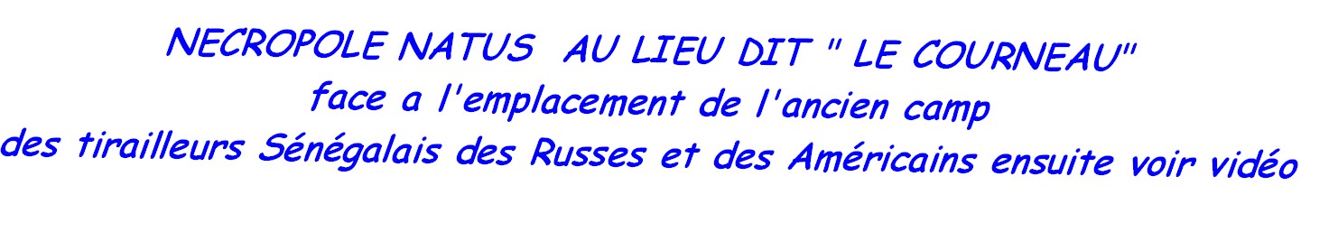 Natus