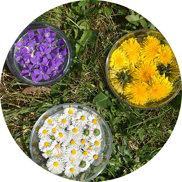Fleurs