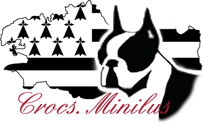 Logo crominilus